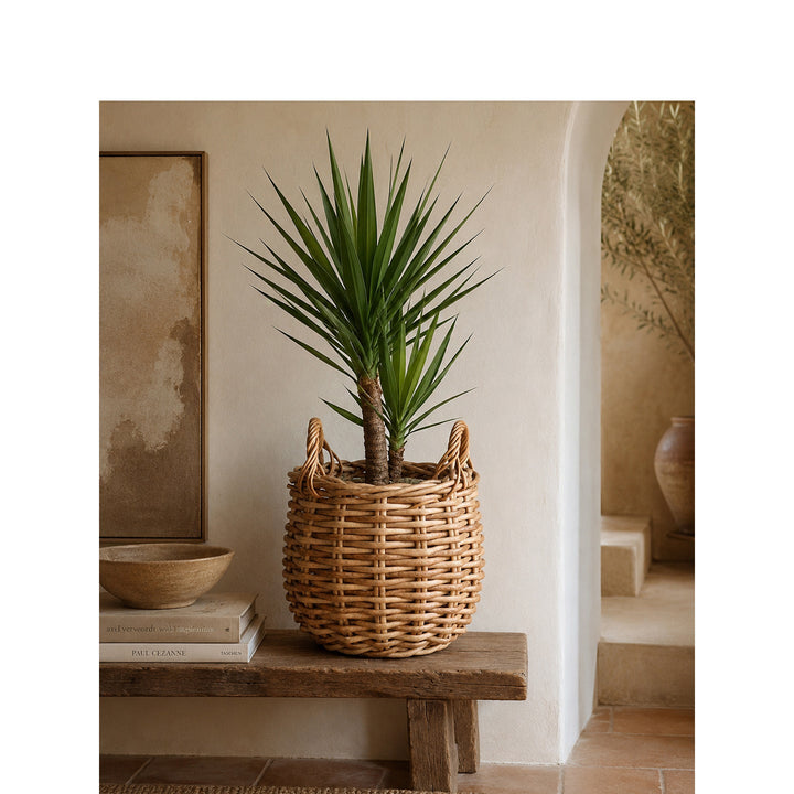 Basket for stylish storage