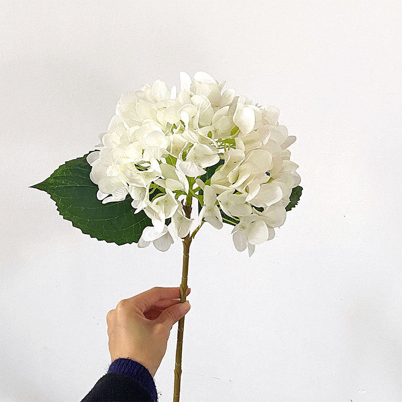 Premium Hydrangea Floral Stem