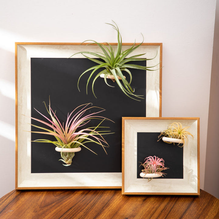 Wall Art for Home Decoration