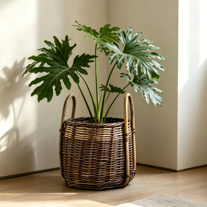 Natural woven storage basket