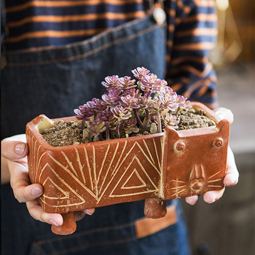Decorative Plant Bowl