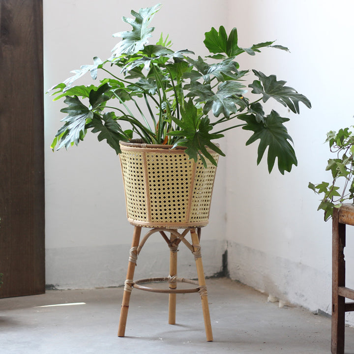 Stylish plant stand made of rattan