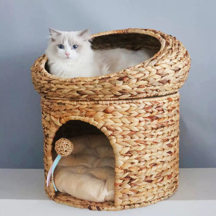 Cozy cat basket with play ball