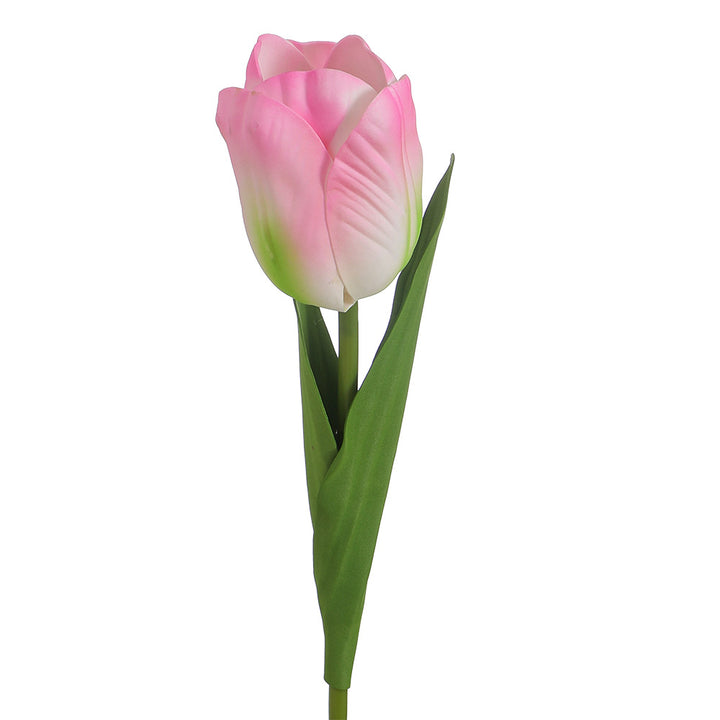 Decorative Art Tulip