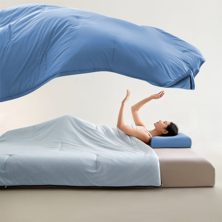 Luxurious Hypoallergenic Comforter Set
