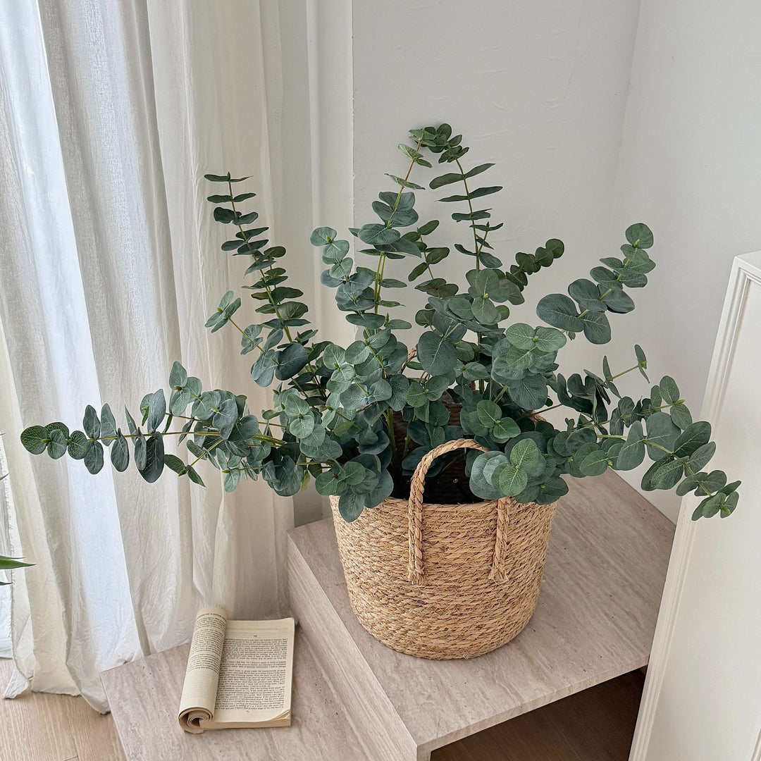 Decorative Eucalyptus Stem for Indoor Arrangements