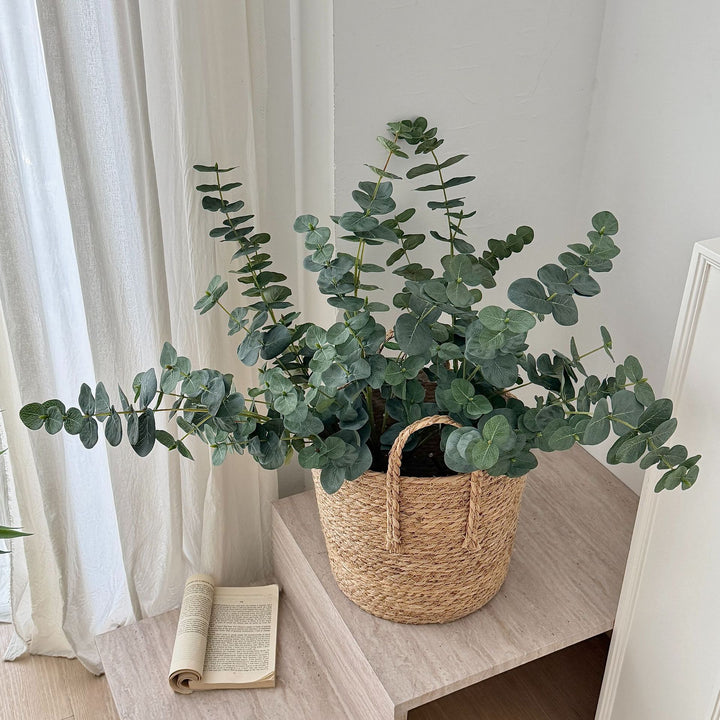 Decorative Eucalyptus Stem for Indoor Arrangements
