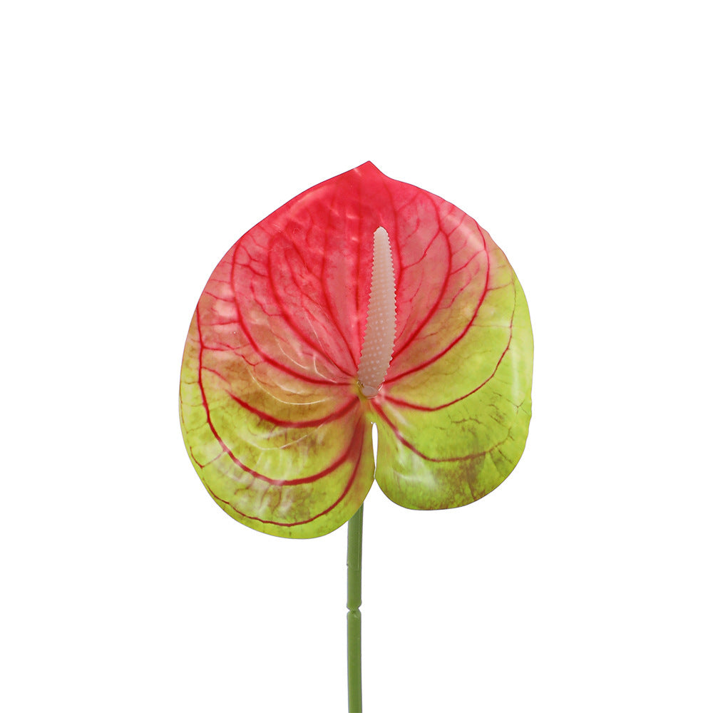 Elegant artificial orchid with delicate flowers