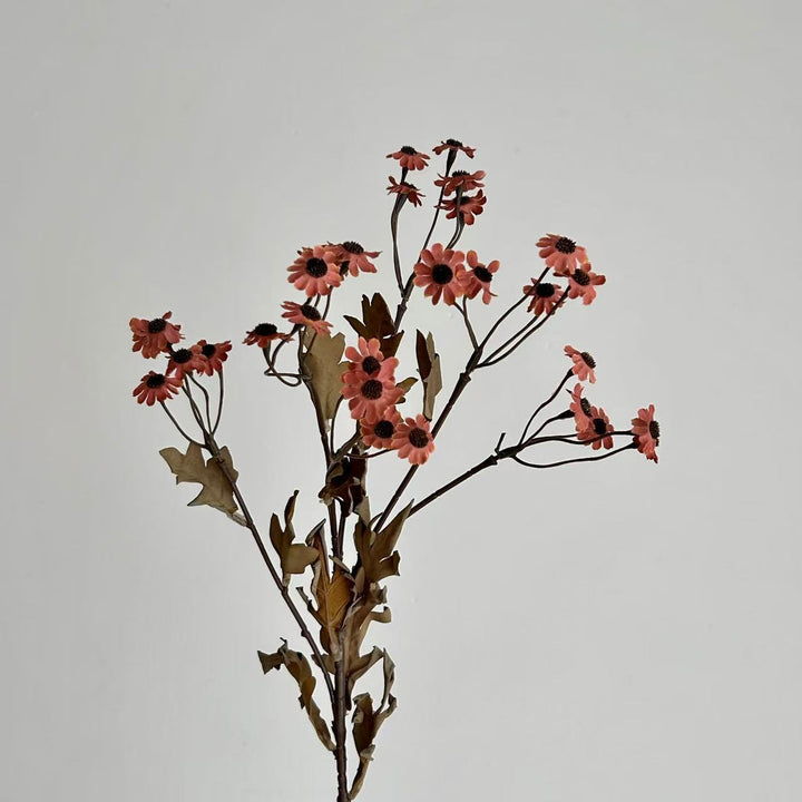 Decorative Dried Flowers