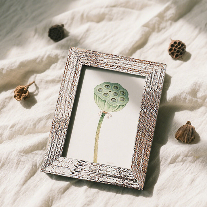 Decorative Botanical Illustration Frame