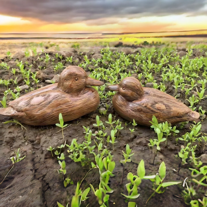 Decorative Duck Figures