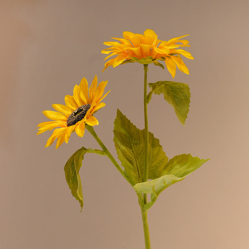 Decorative Sunflower
