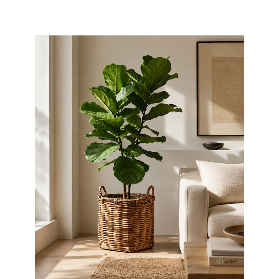 Atmospheric storage baskets