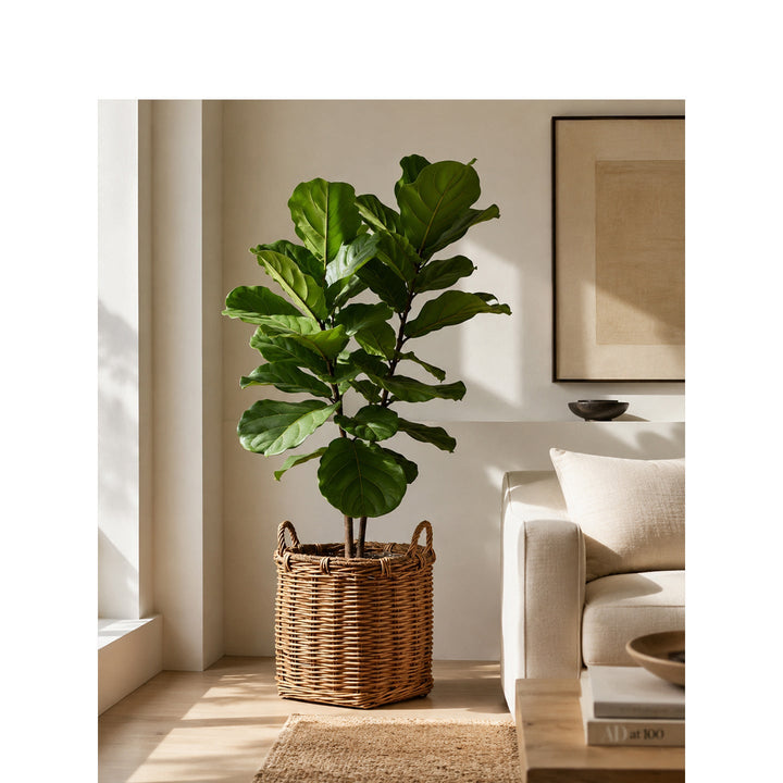Atmospheric storage baskets
