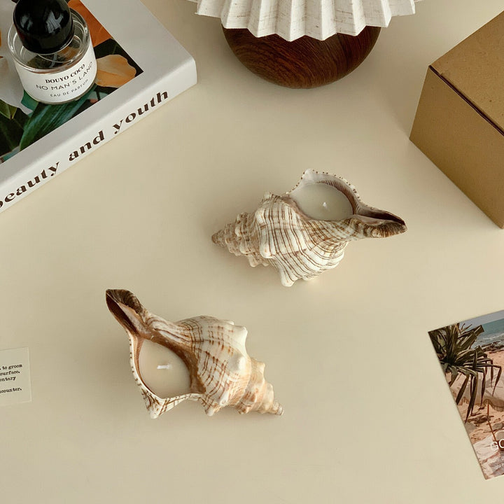 Decorative Shell