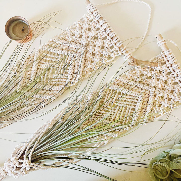 Macrame Wall Hanging Plant Holder