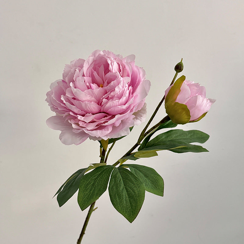 Lifelike Peony Flower Stem