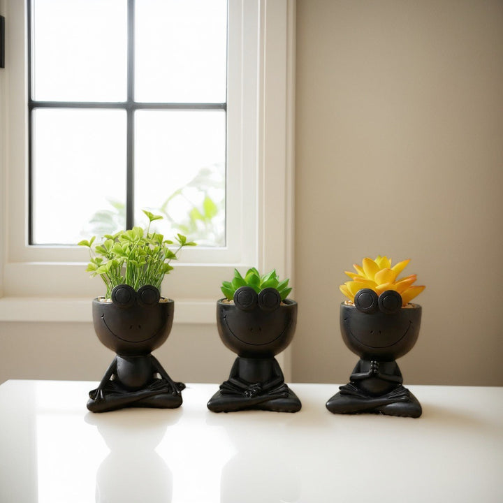 Decorative Planter Pot for Plant Display