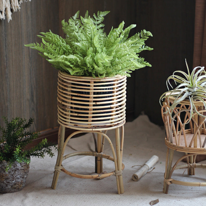 Rattan plant stand with modern design