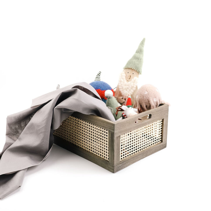 Versatile Storage Organizer