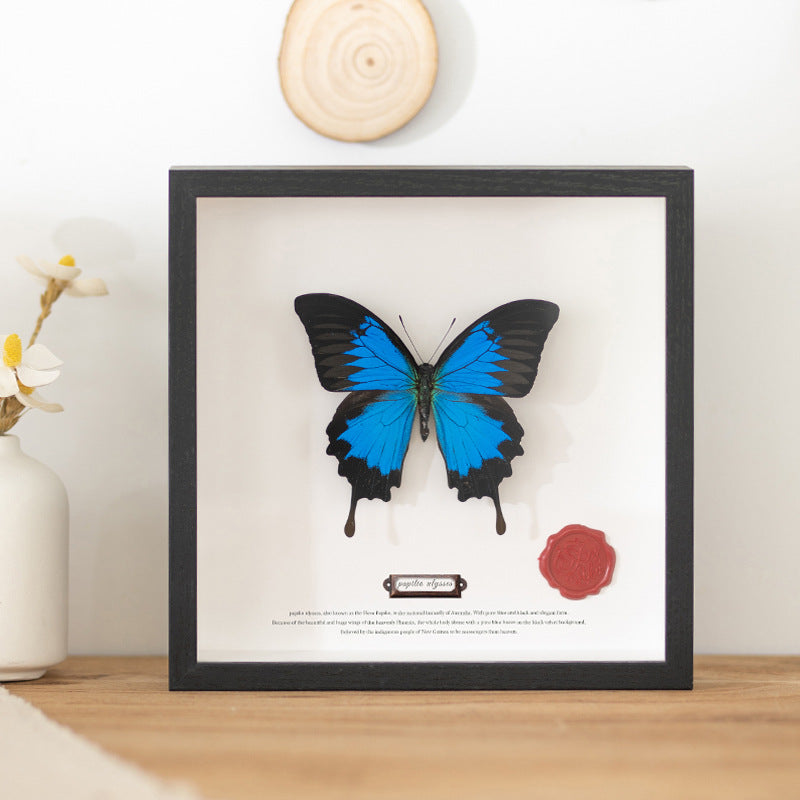 Decorative Framed Butterfly Art for Home
