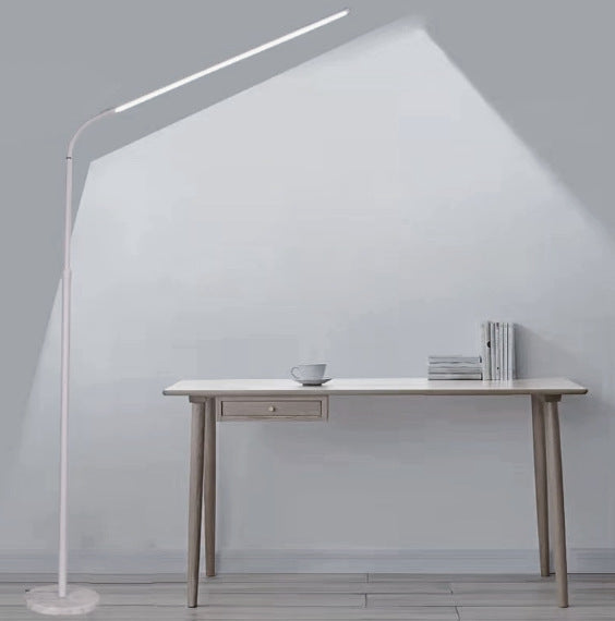 Modern LED Floor Lamp