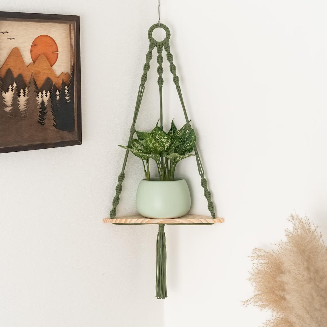 Hanging Plant Holder