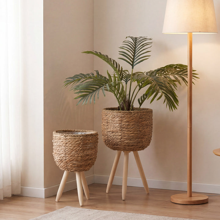 Avarnia Planter