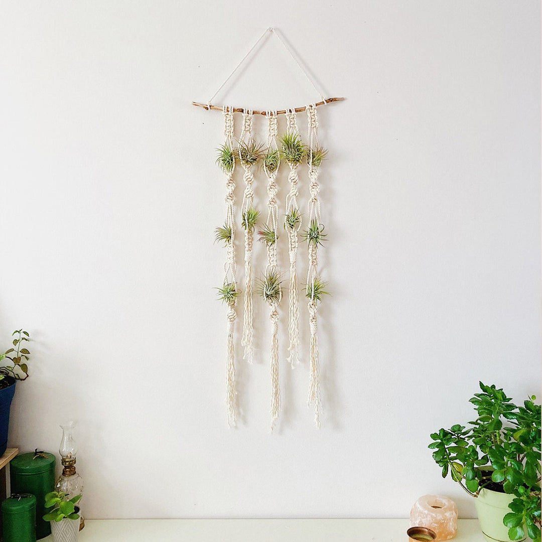 Macrame Plant Wall Hanging Organizer
