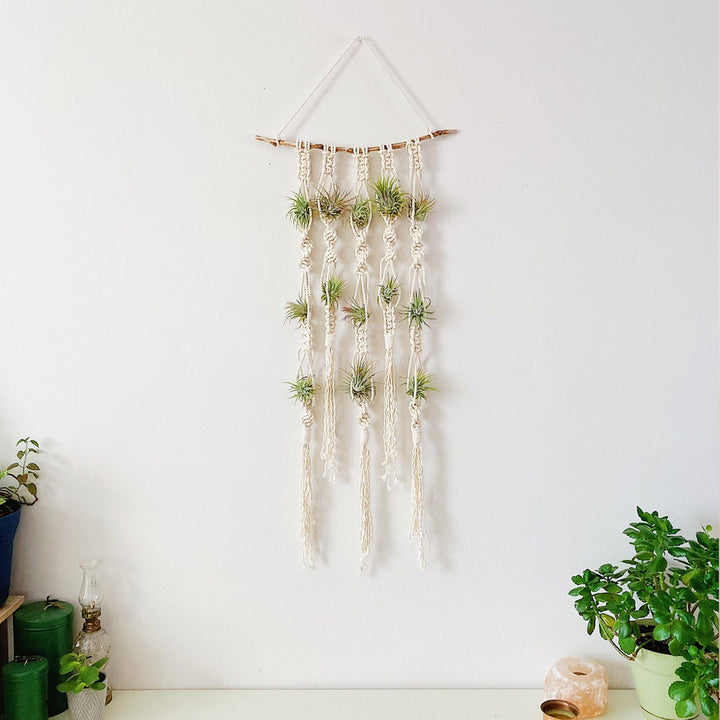Macrame Plant Wall Hanging Organizer