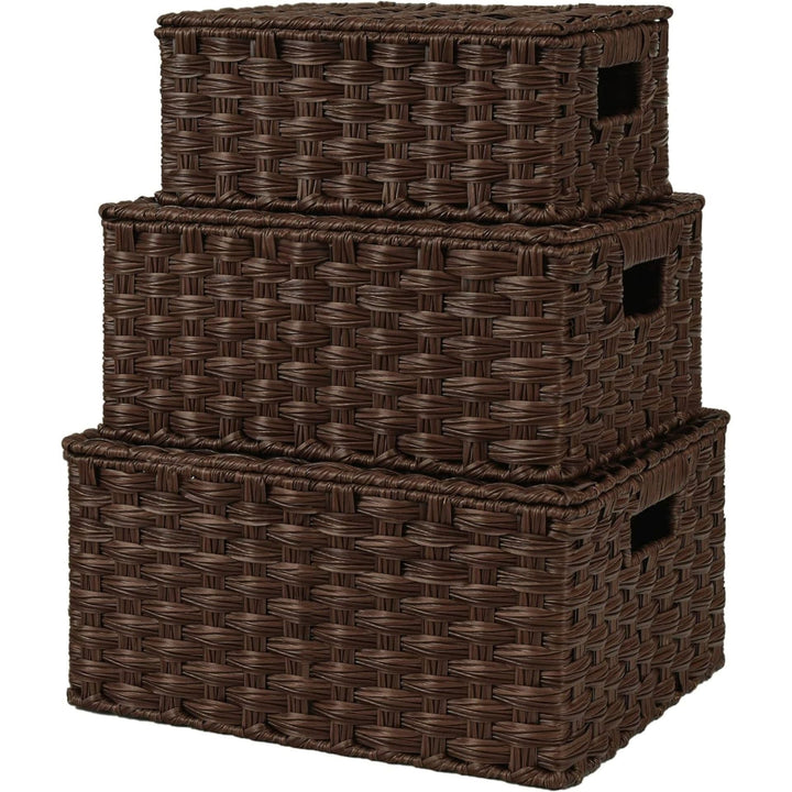Handwoven Storage Baskets Set