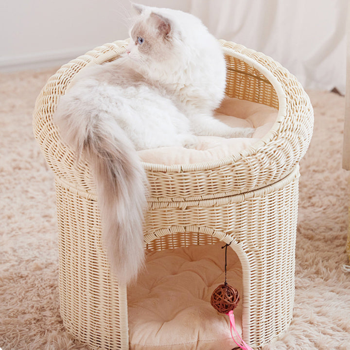 Cozy cat basket with play ball