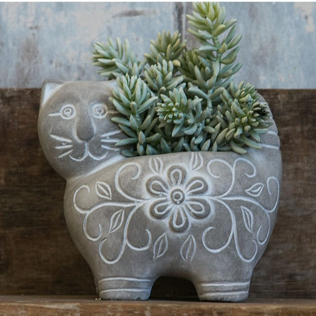 Decorative Plant