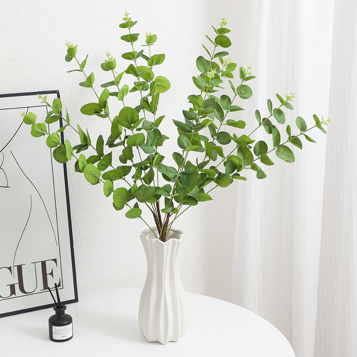 Decorative Plants