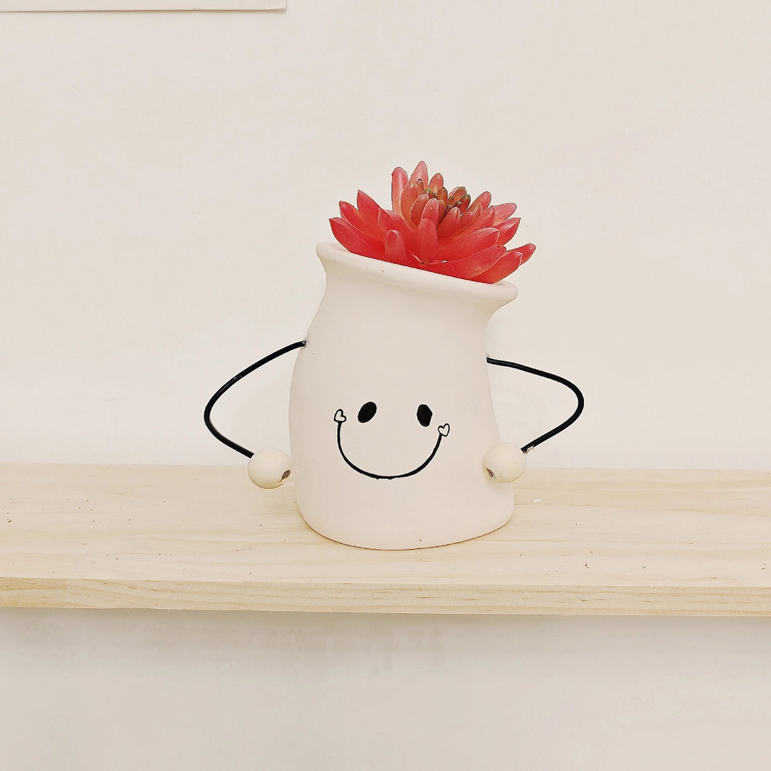 Decorative Plant Pot