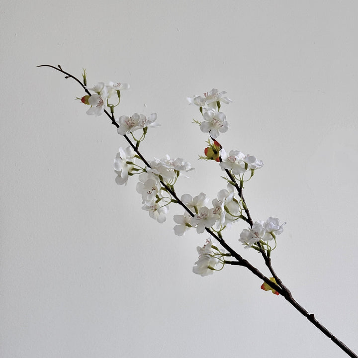 Cherry Blossom Botanical Stem