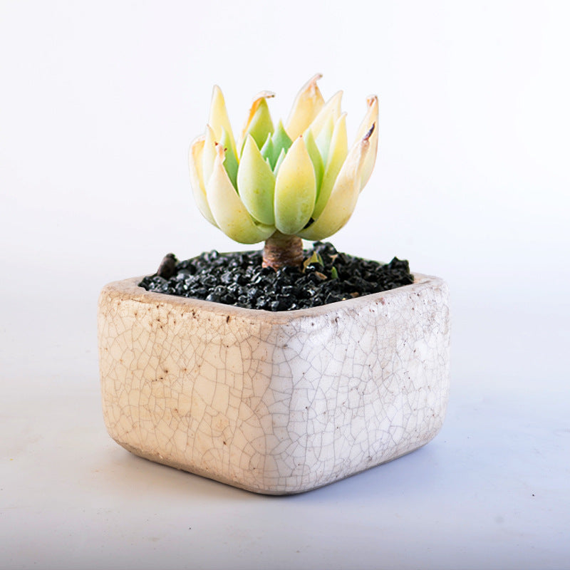 Deko Pot