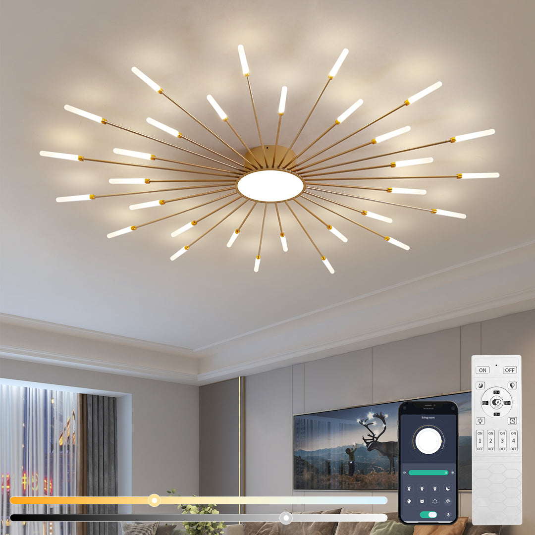 Star Explosion Ceiling Light