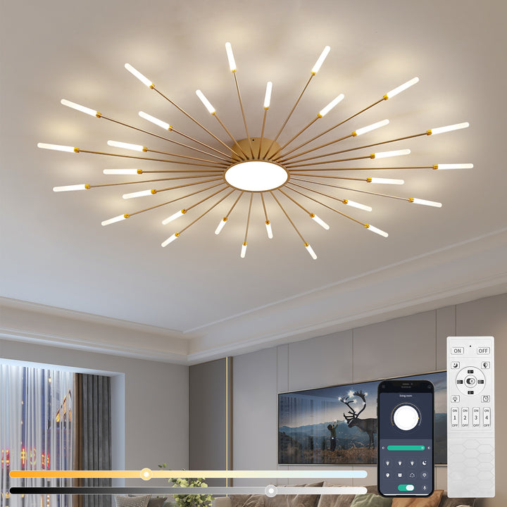 Star Explosion Ceiling Light