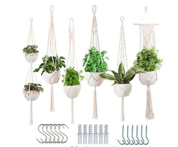 Macrame Plant Hanger