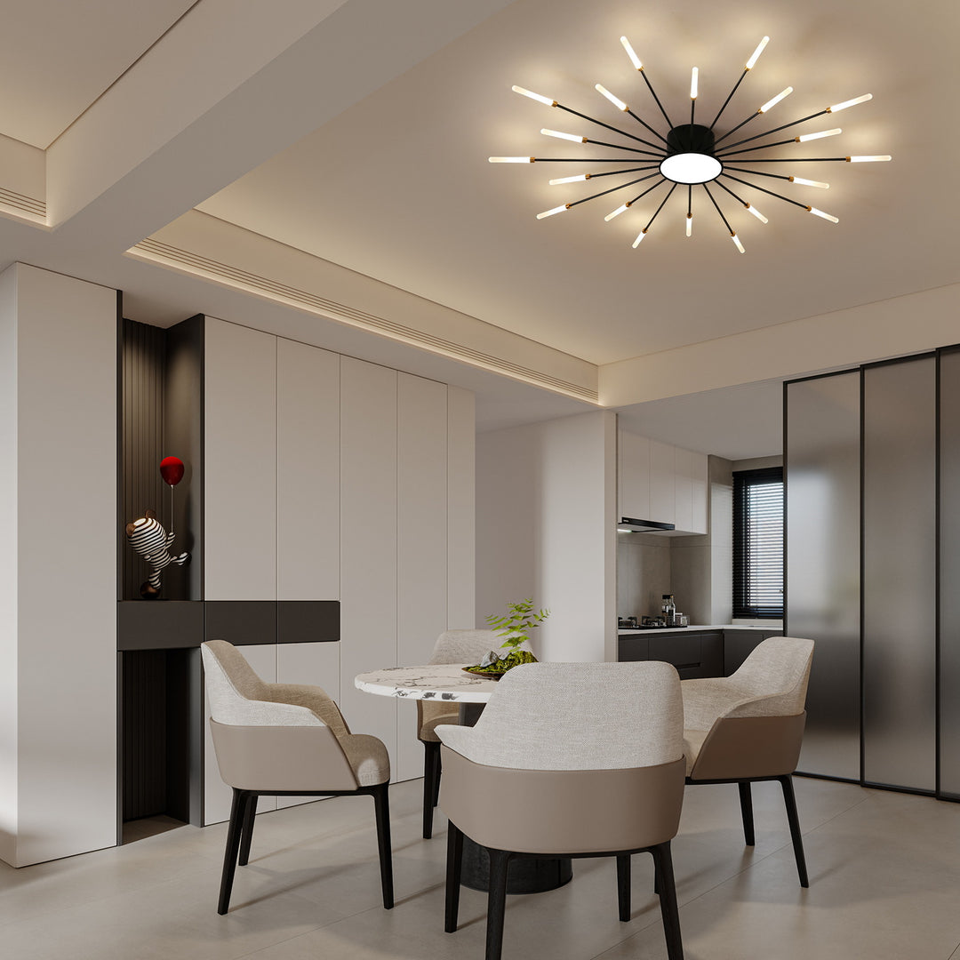 Star Explosion Style Ceiling Light