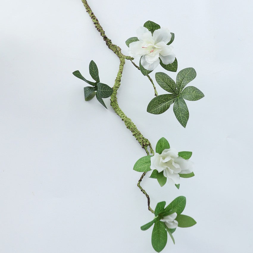 Deko Vase