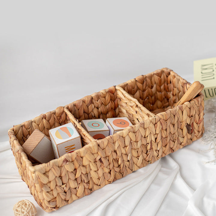 Multi-Compartment Storage Organizer