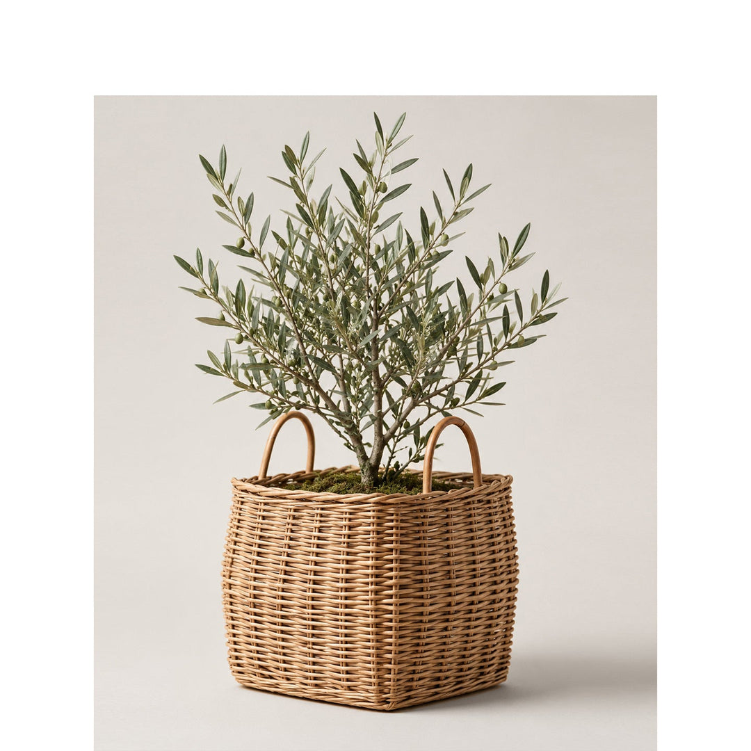 Basket for stylish storage