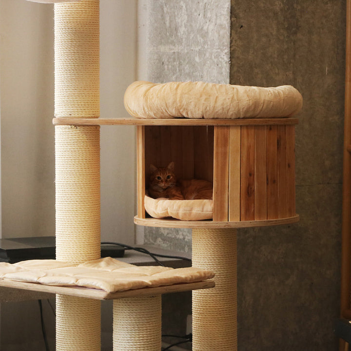 Cozy cat tree with multiple levels