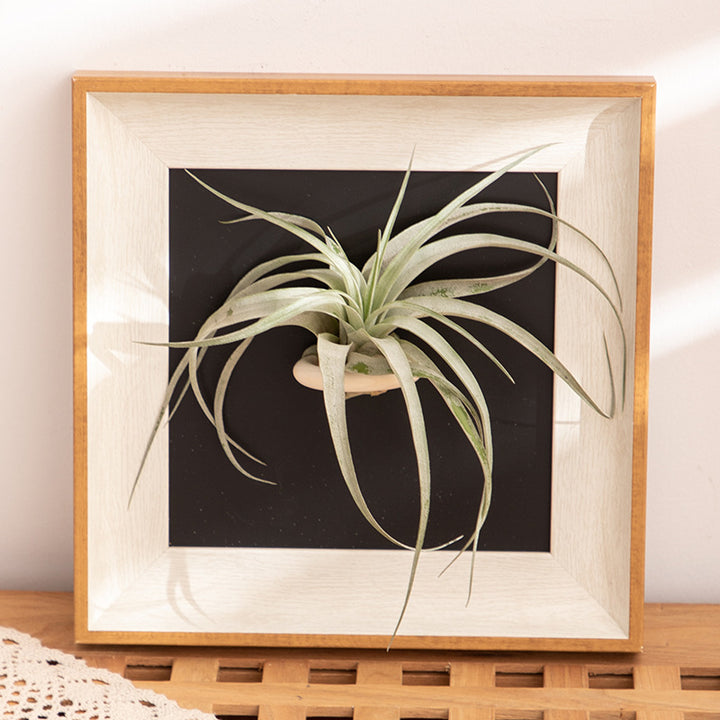 Wall Art for Home Decoration