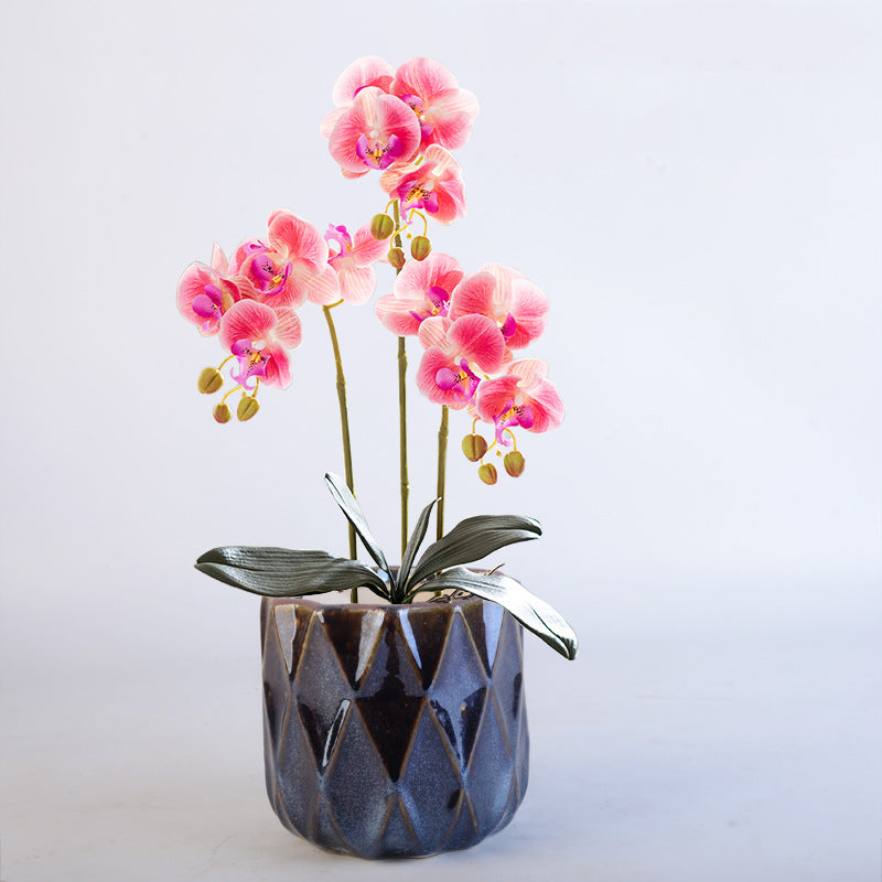 Elegant geometric plant bowl