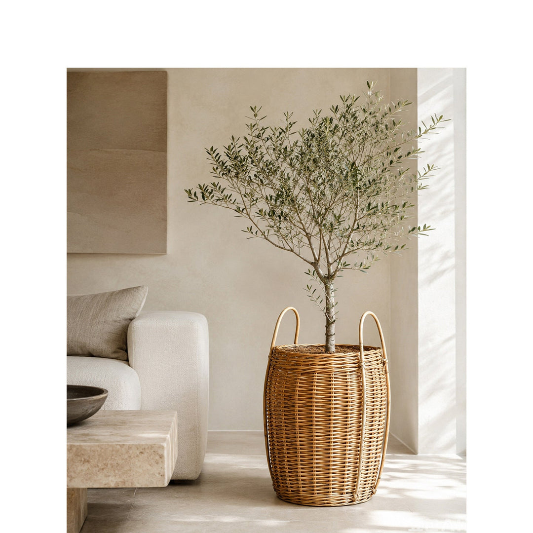 Practical storage basket