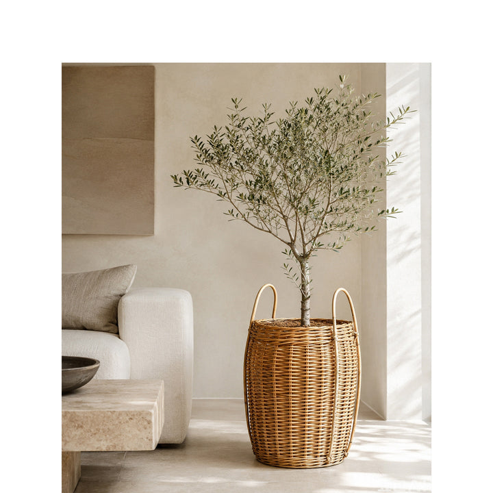 Practical storage basket