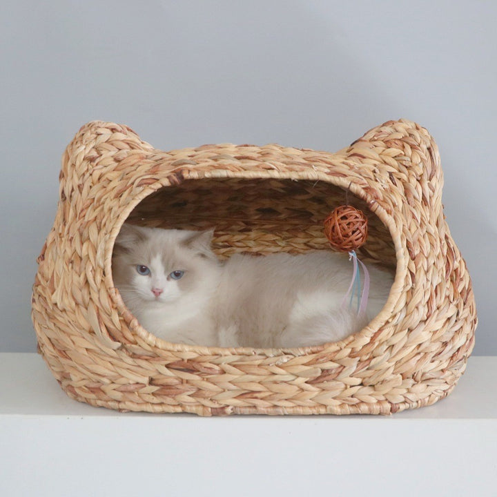 Cat bed